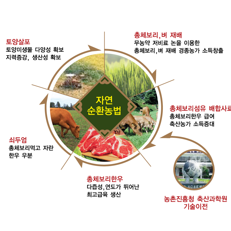 총체보리한우